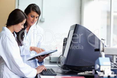 Female scientists comparing results
