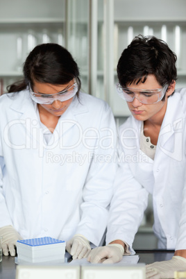 Portrait of science students making an experiment