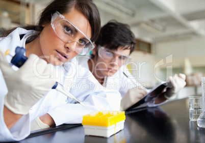 Focused young scientists working