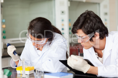 Focused scientists working