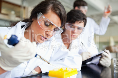 Three scientists working