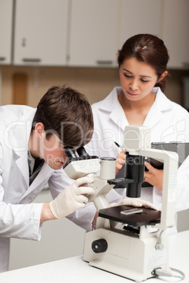 Portrait of a scientist looking in a microscope while his collea
