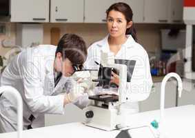 Portrait of a scientist looking in a microscope while his collea
