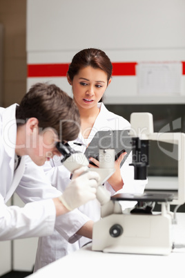 Portrait of a science student looking in a microscope