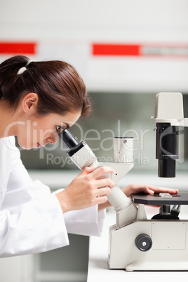 Portrait of a female scientist looking in a microscope