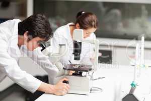Serious science students using a microscope