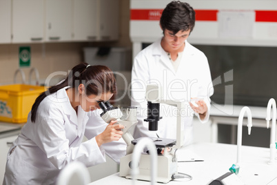 Good looking science students using a microscope