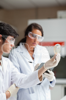 Portrait of science students looking at Petri dish