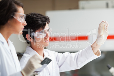Serious science students looking at Petri dish