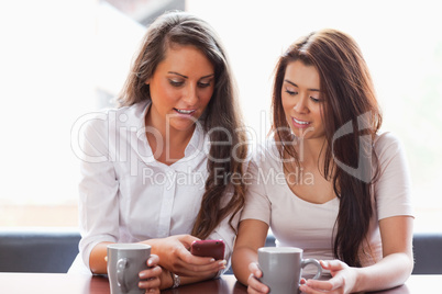 Friends looking at a smartphone