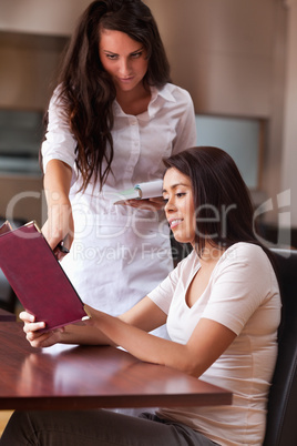 Portrait of a young waitress advising a customer