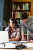 Portrait of students working together with a laptop