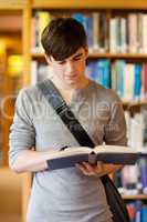 Portrait of a handsome student reading a book