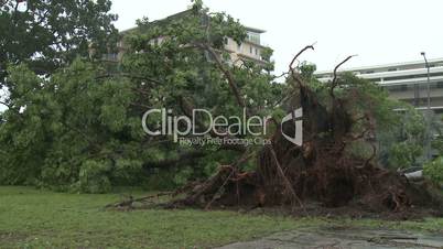 Tropical Storm Lashes Northern Australia