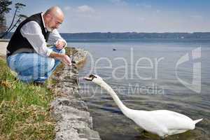 old man and swan