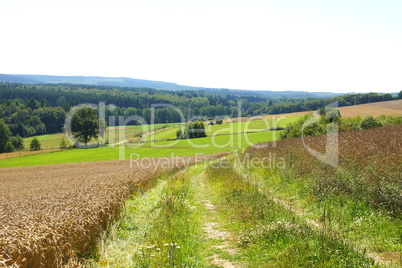 Feldweg am Idarwald