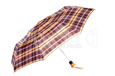 Checked woman umbrella