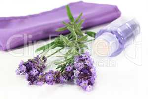 Lavendel