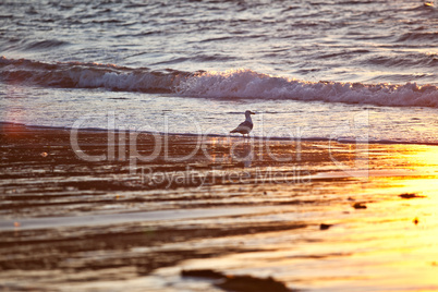 Sonnenuntergang am Meer