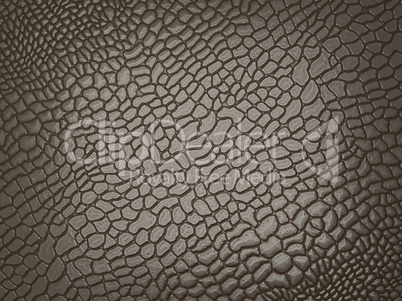 Alligator skin: useful as texture or background