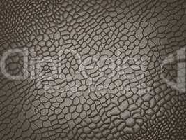 Alligator skin: useful as texture or background