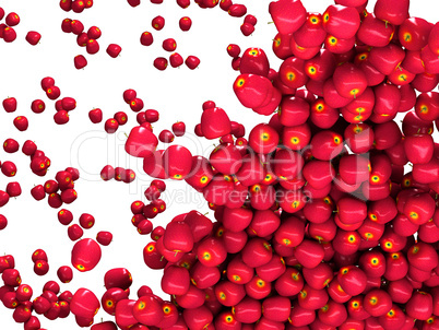 Crop: Many ripe red apples isolated
