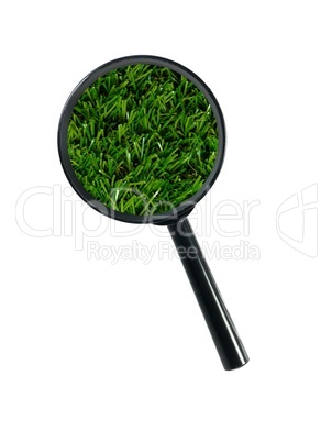 Magnifying Glass