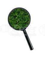 Magnifying Glass