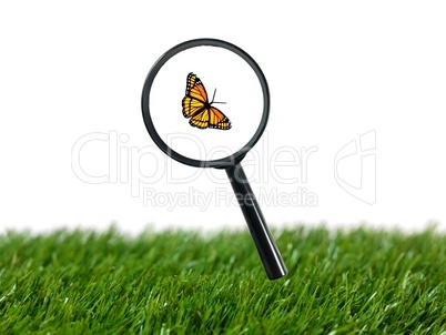 Magnifying Glass