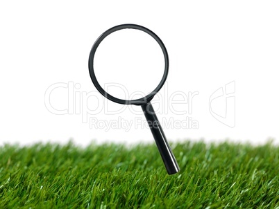 Magnifying Glass