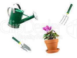 Watering Can