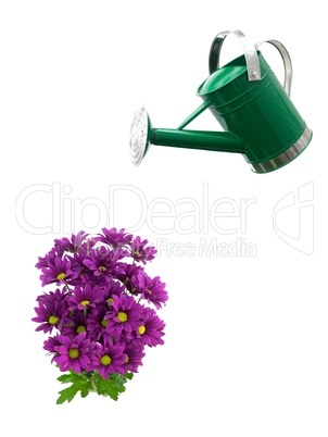 Watering Can