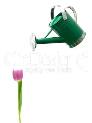 Watering Can