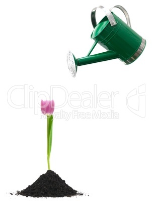 Watering Can