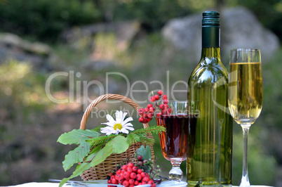 Romantisches Picknick im Wald