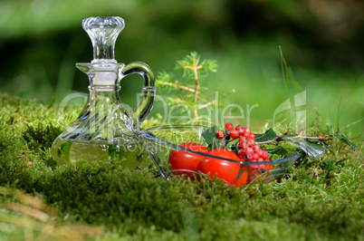 Outdoor Picknick Tomaten