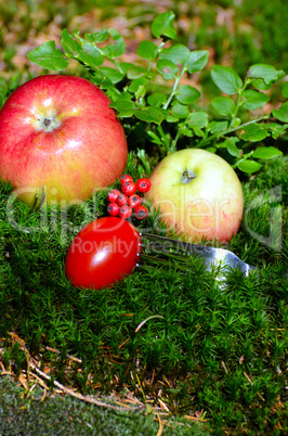 Outdoor Picknick Tomaten