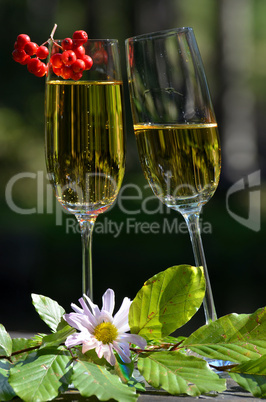 Romantisches Picknick im Wald