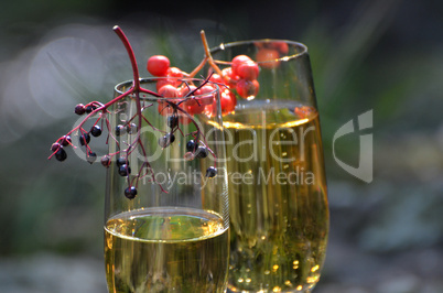 Romantisches Picknick im Wald