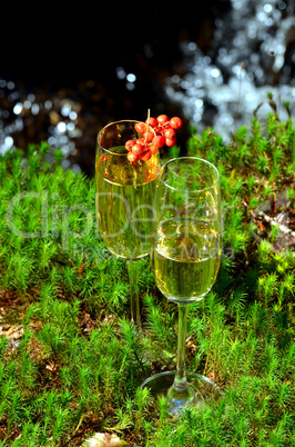 Romantisches Picknick im Wald