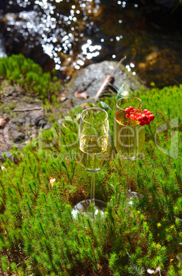 Romantisches Picknick im Wald