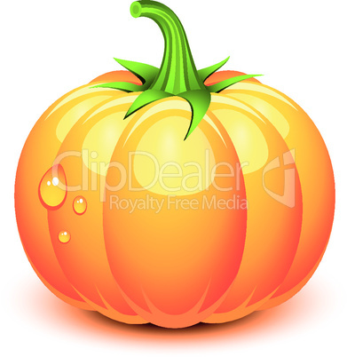 Halloween pumpkin