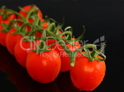 frische Tomaten