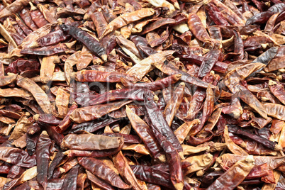 Dried red peppers on white background