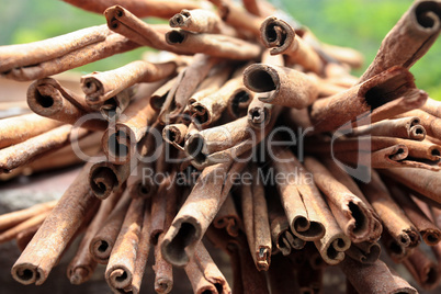 View of a bunch of cinnamon spice