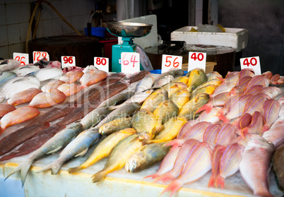 fresh fish at a fish market