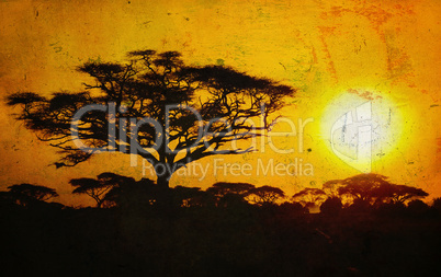 grunge image of a tree in savannah