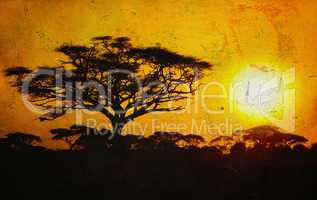 grunge image of a tree in savannah