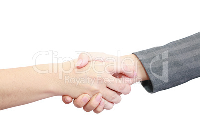 closeup of people shaking hands