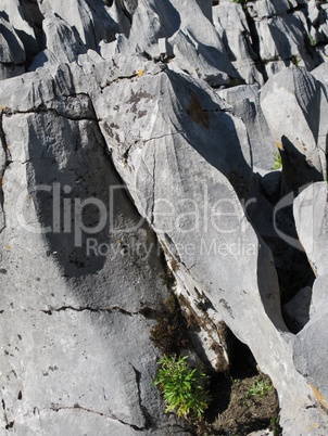 Karst Rocks In The Alps